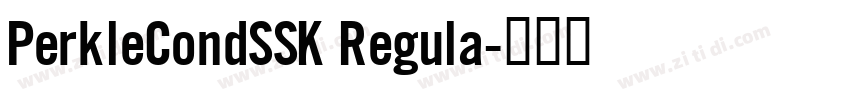 PerkleCondSSK Regula字体转换 PerkleCondSSK Regula字体转换